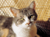 Captcha image 1048