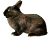 Captcha image 8693