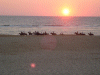 Captcha image 5477