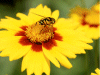 Captcha image 1385